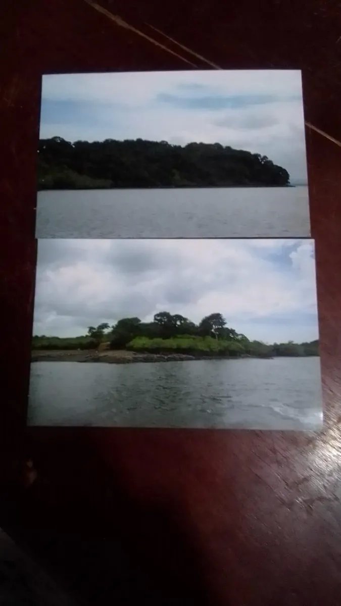 ISLAND OF 17 HECTARES FOR SALE IN VERAGUAS.