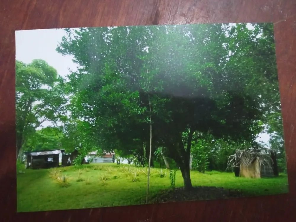 ISLAND OF 17 HECTARES FOR SALE IN VERAGUAS.
