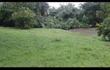 LAND OF 190 HECTARES FOR SALE, IN FRONT OF THE PACIFIC SEA, IN VERAGUA...