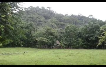 LAND OF 190 HECTARES FOR SALE, IN FRONT OF THE PACIFIC SEA, IN VERAGUAS, PANAMA