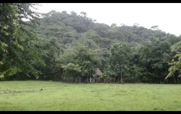 SE VENDE 190 HECTAREAS EN LA COSTA DE VERAGUAS, PANAMÁ