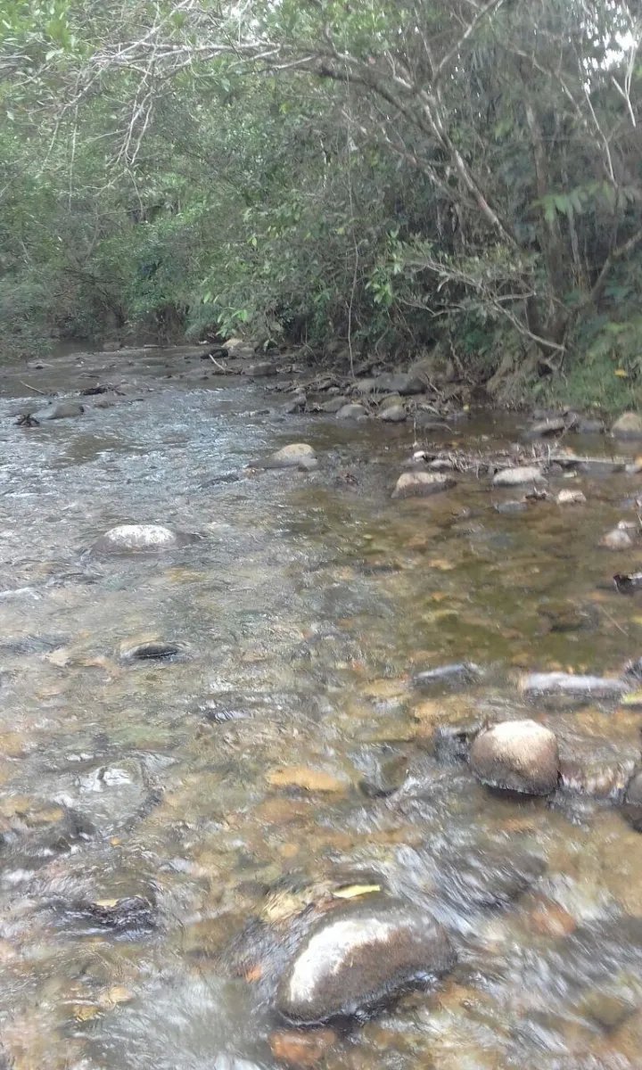 PROPERTY FOR SALE IN LA ONDA, LA PITALOZA, LOS POZOS, HERRERA PROVINCE. 229.808 ACRES 93(HA) OF LAND.