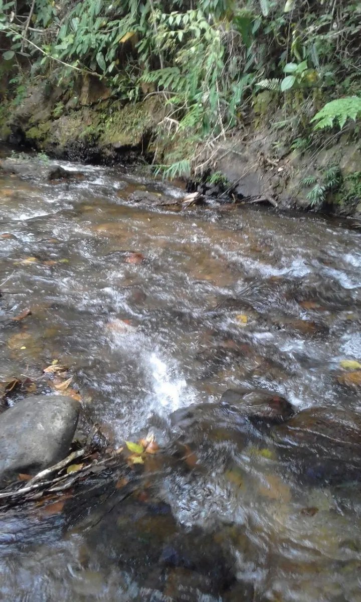 PROPERTY FOR SALE IN LA ONDA, LA PITALOZA, LOS POZOS, HERRERA PROVINCE. 168.032 ACRES (68 HA) OF LAND.