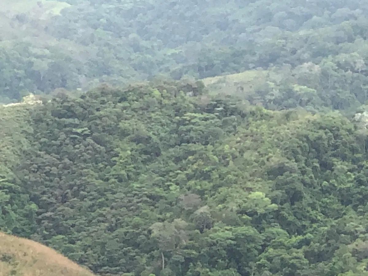 PROPERTY FOR SALE IN LA ONDA, LA PITALOZA, LOS POZOS, HERRERA PROVINCE. 168.032 ACRES (68 HA) OF LAND.