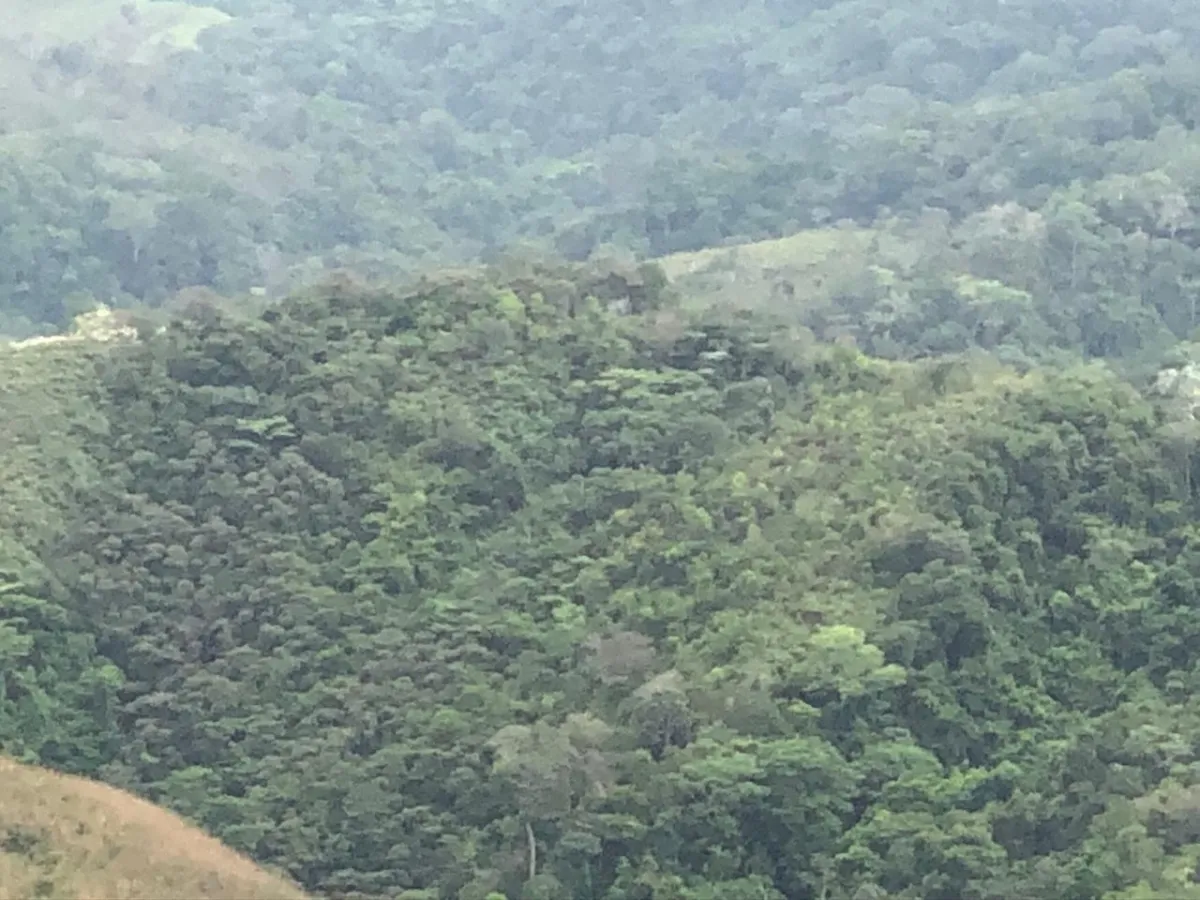 Terreno/Granja en Venta en Los Pozos