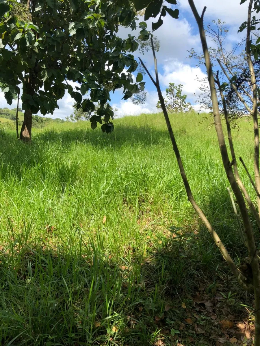 Terreno/Granja en Venta en Los Pozos