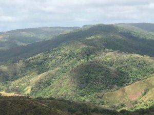 FINCA EN VENTA EN LA ONDA, LA PITALOZA, ...