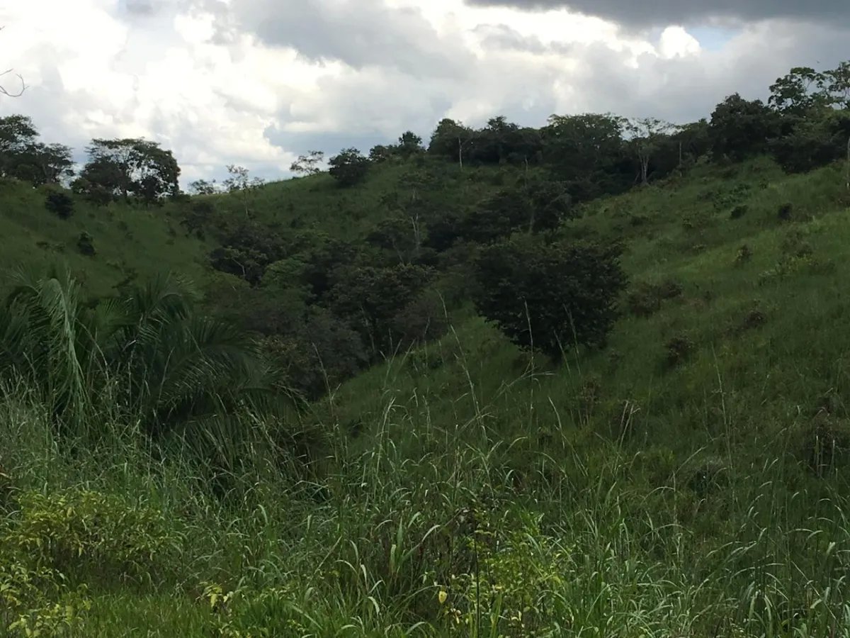 PROPERTY FOR SALE IN LA ONDA, LA PITALOZA, LOS POZOS, HERRERA PROVINCE...