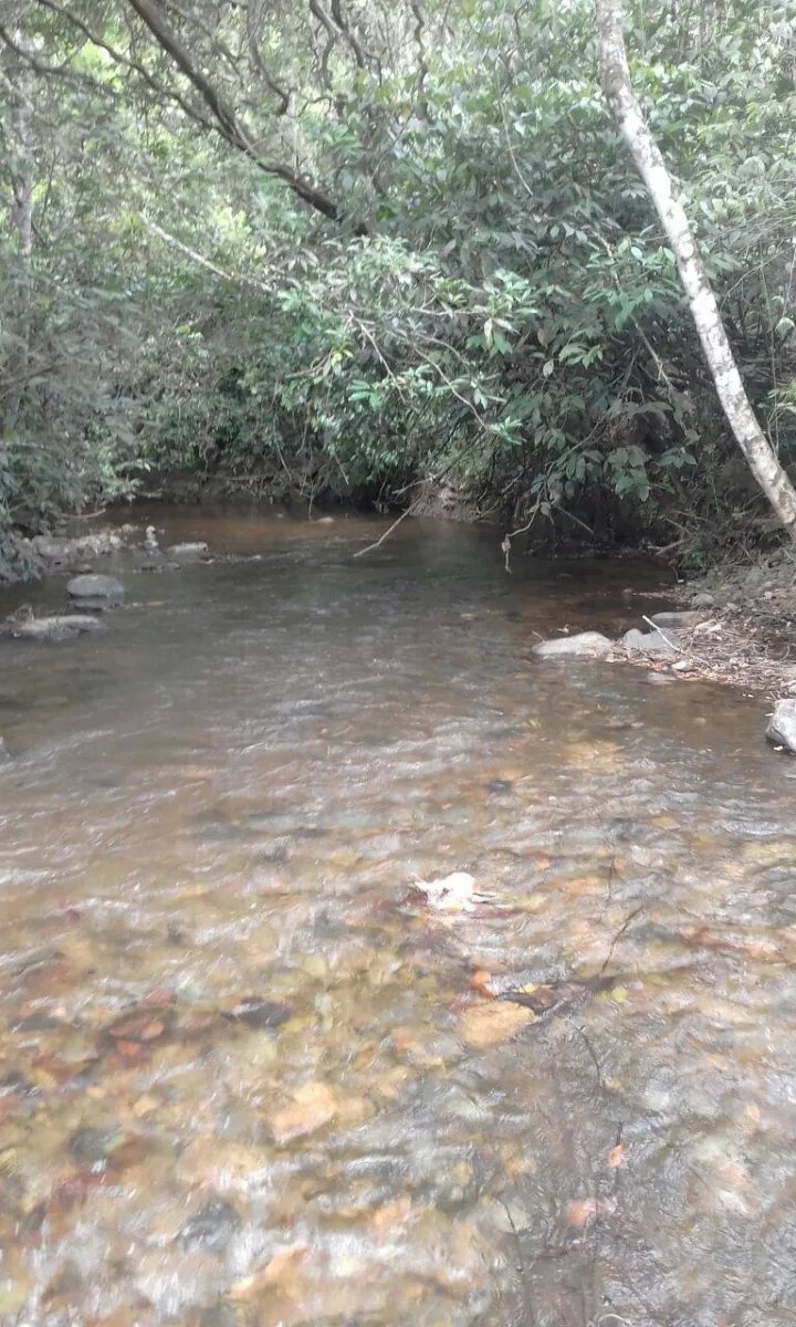 PROPERTY FOR SALE IN LA ONDA, LA PITALOZA, LOS POZOS, HERRERA PROVINCE...