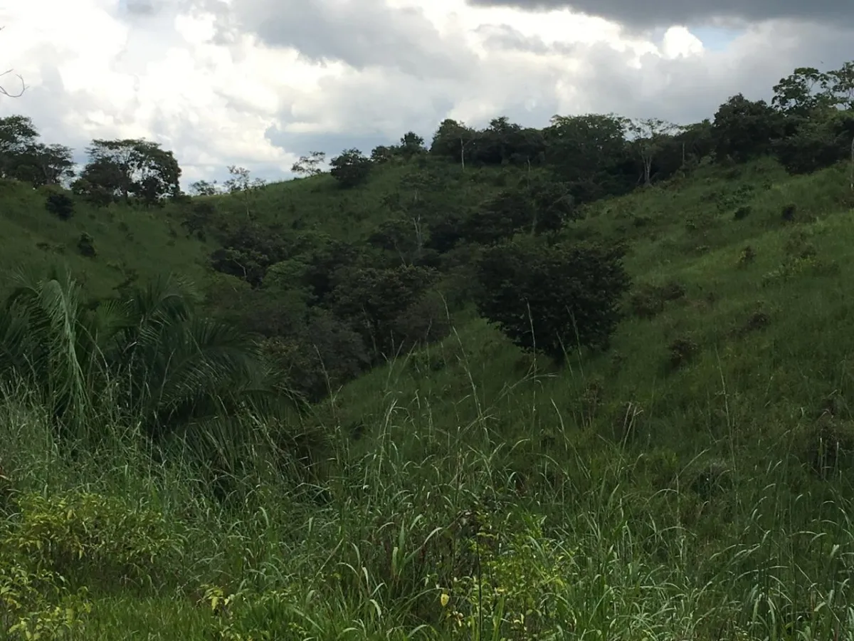 Terreno/Granja en Venta en Los Pozos