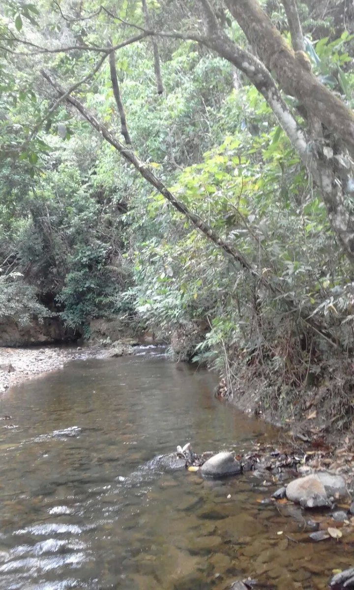PROPERTY FOR SALE IN LA ONDA, LA PITALOZA, LOS POZOS, HERRERA PROVINCE. 158.147 ACRES (64 HA) OF LAND