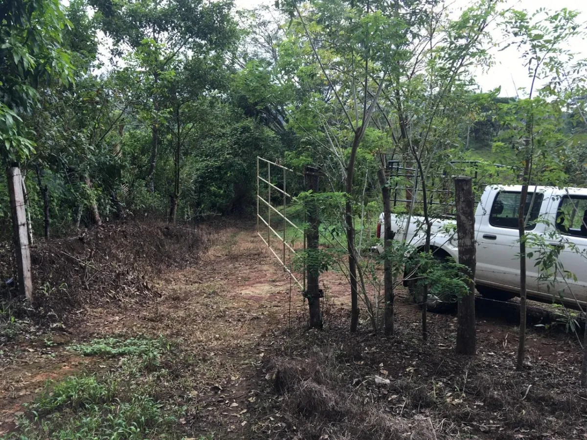 FINCA EN VENTA EN LA ONDA, LA PITALOZA, LOS POZOS, PROVINCIA DE HERRER...
