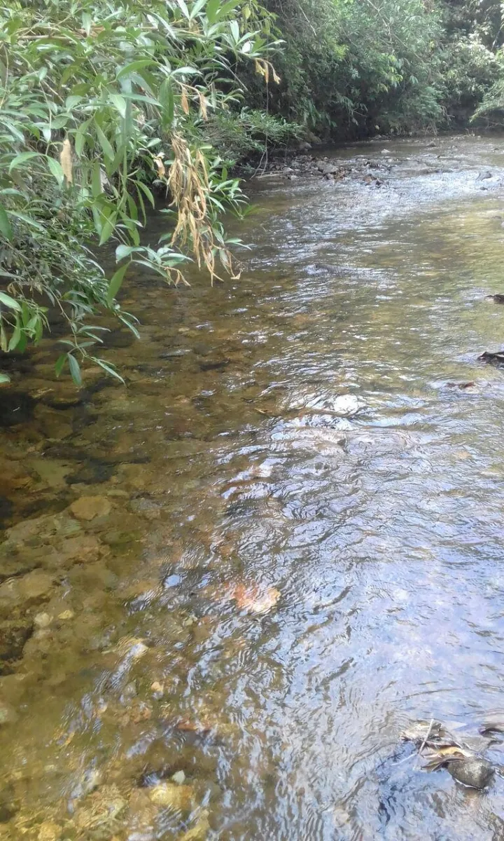 FINCA EN VENTA EN LA ONDA, LA PITALOZA, LOS POZOS, PROVINCIA DE HERRER...