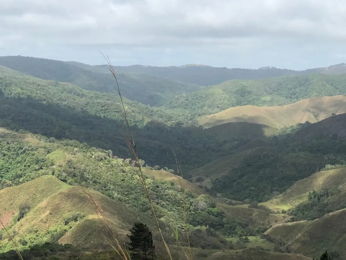 FINCA EN VENTA EN LA ONDA, LA PITALOZA, LOS POZOS, PROVINCIA DE HERRER...