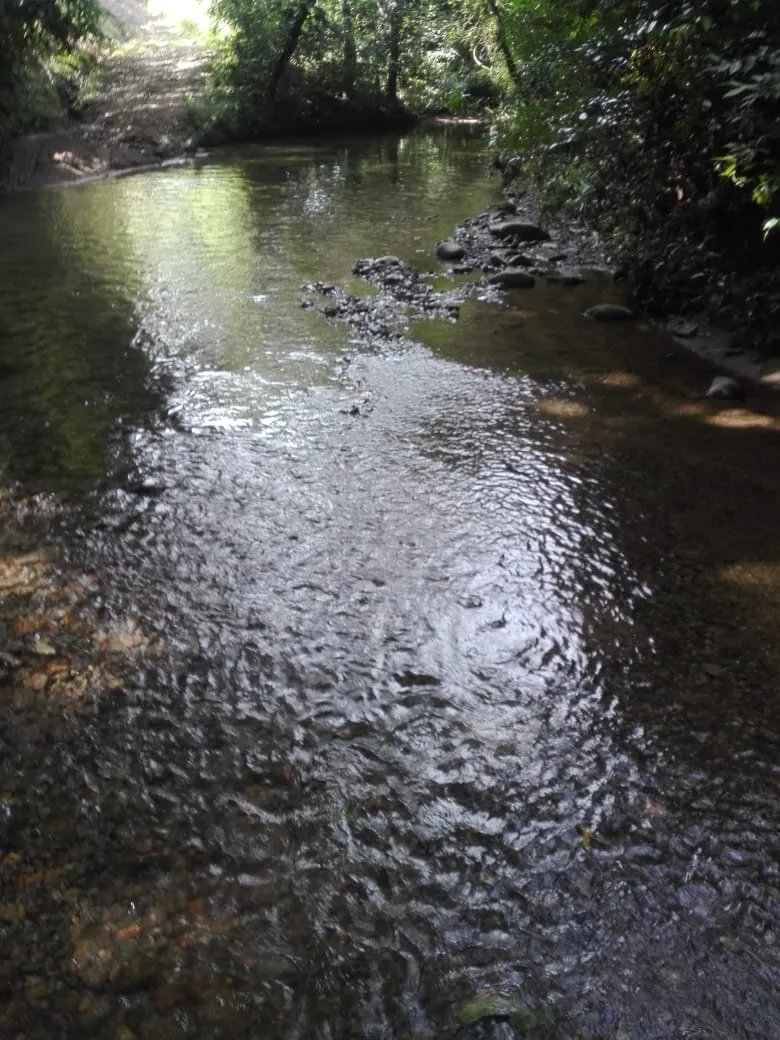 Land for sale in Llano de Piedra, community of Bombachito, Province of...