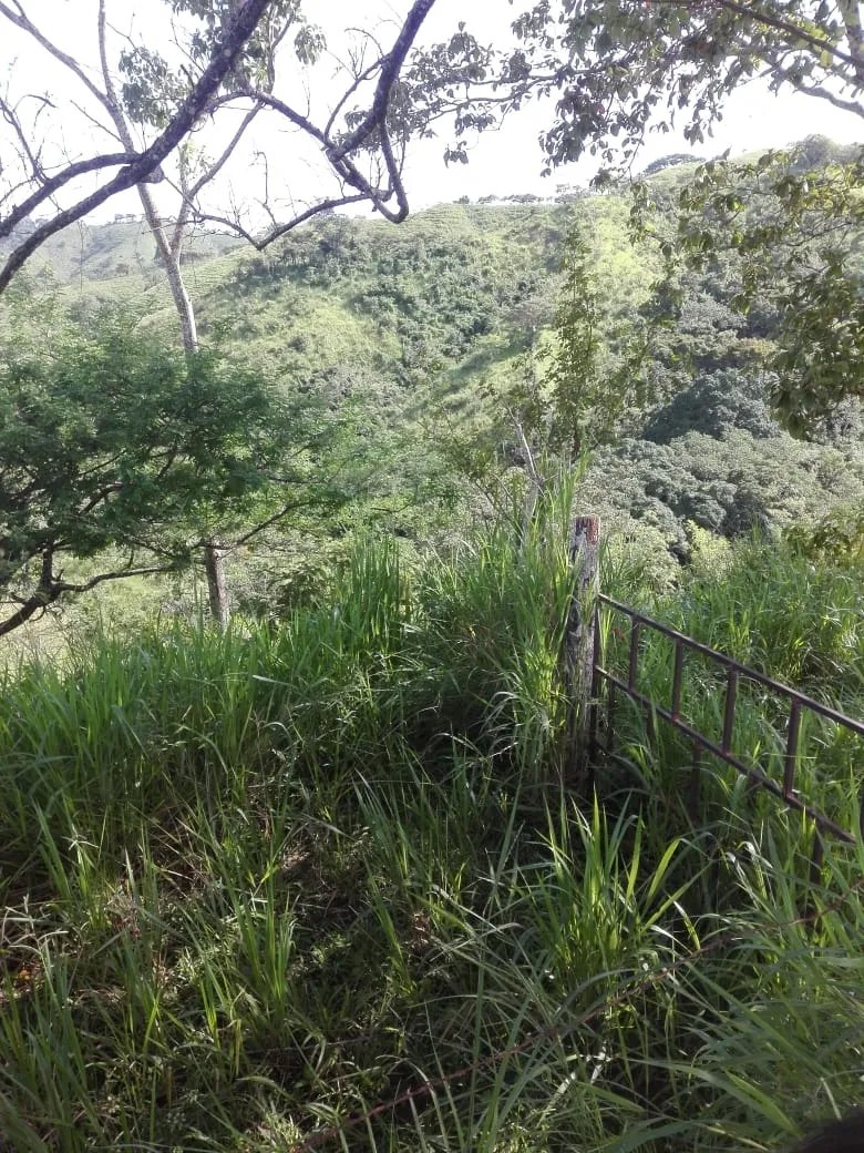 Land for sale in Llano de Piedra, community of Bombachito, Province of...