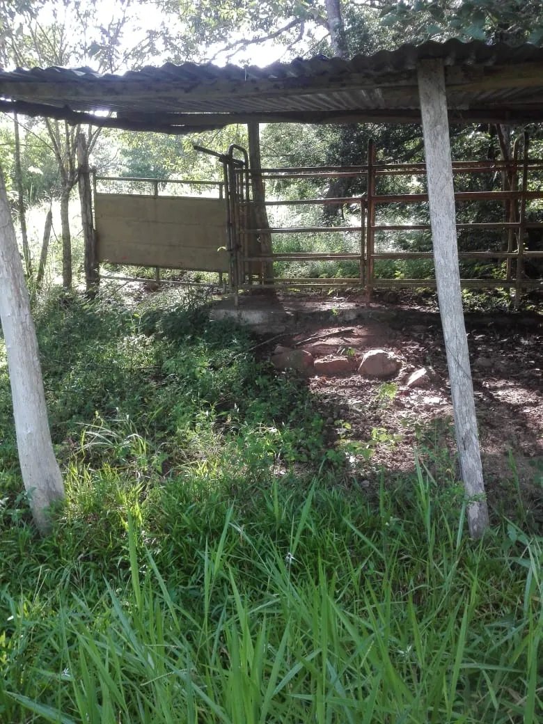 Land for sale in Llano de Piedra, community of Bombachito, Province of Los Santos. 24.710Acres (10 HA).