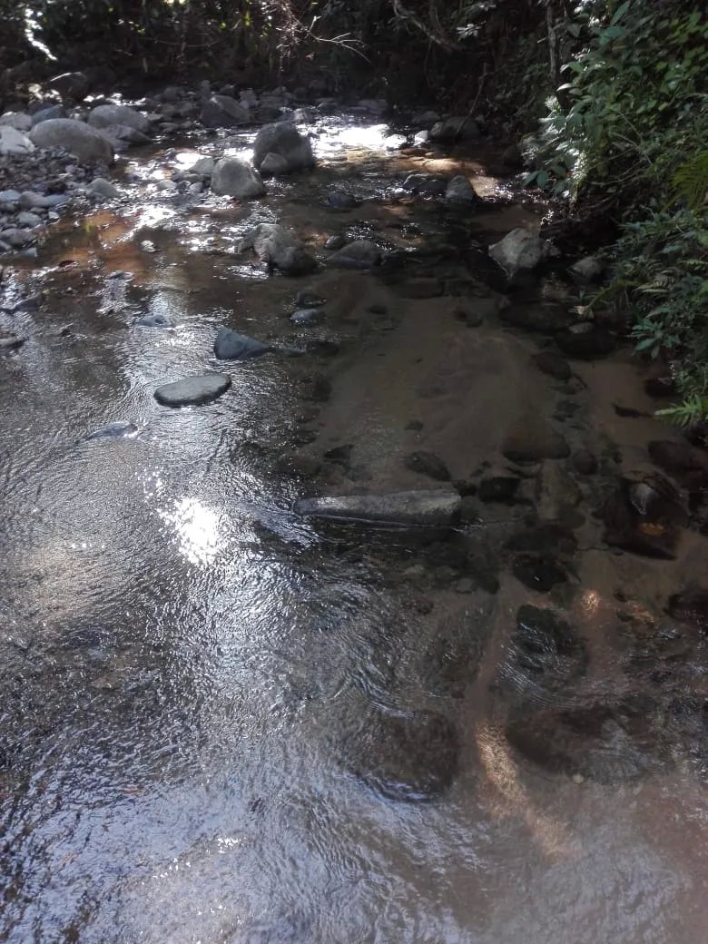 Land for sale in Llano de Piedra, community of Bombachito, Province of Los Santos. 24.710Acres (10 HA).