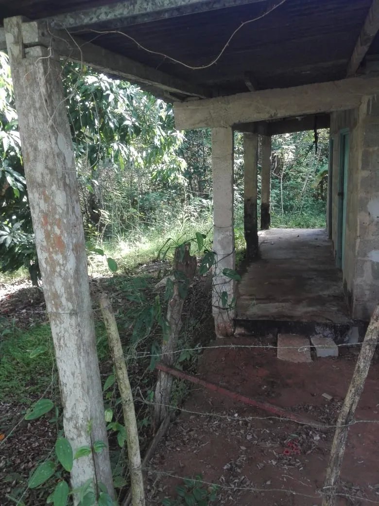 Land for sale in Llano de Piedra, community of Bombachito, Province of Los Santos. 24.710Acres (10 HA).