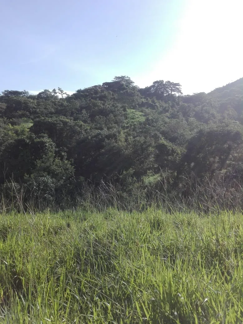 Terreno/Granja en Venta en Los Santos