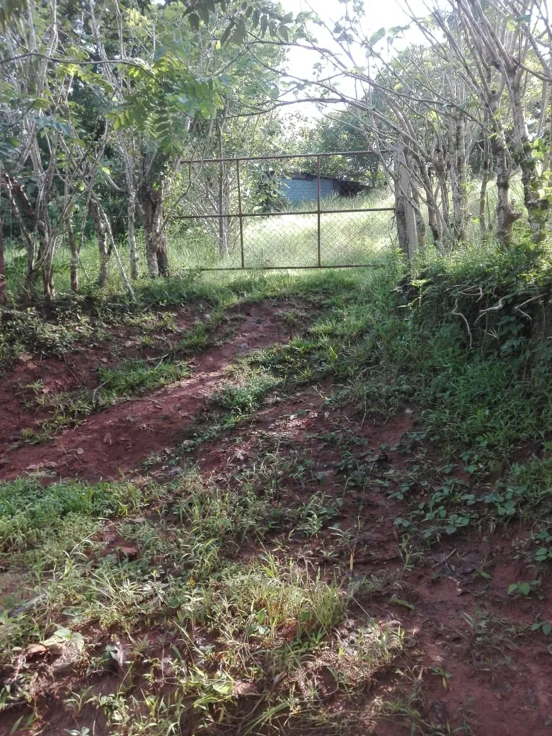 Terreno/Granja en Venta en Los Santos