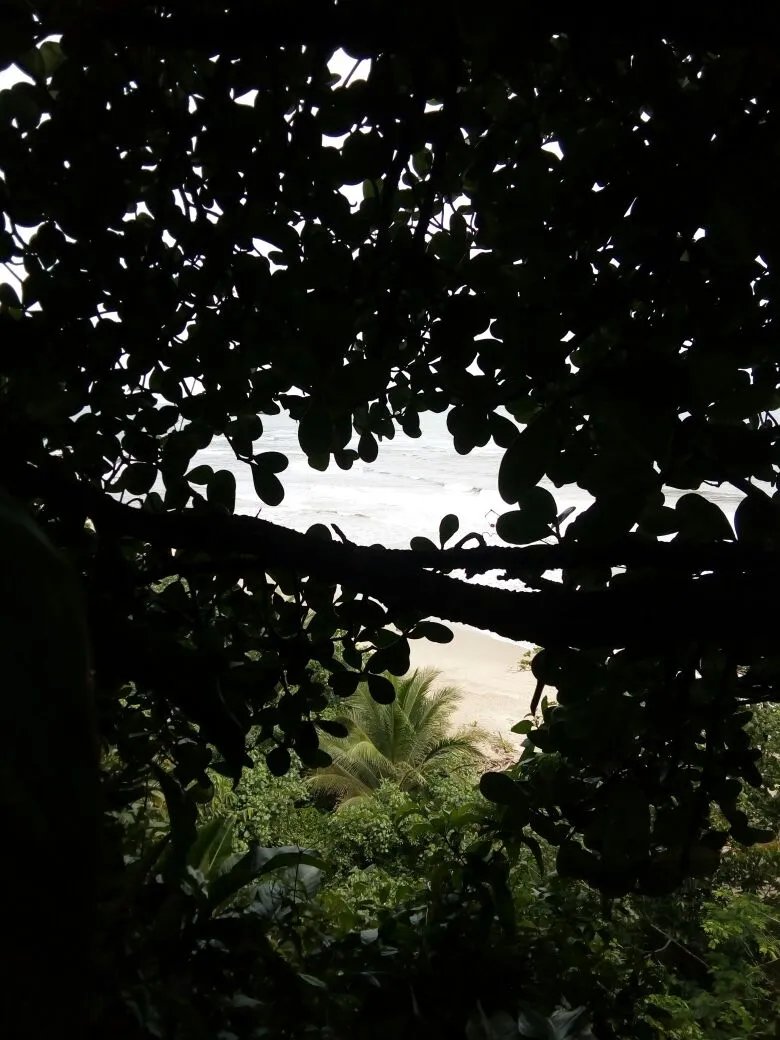 OCEAN FRONT PROPERTY FOR SALE, IN THE REGION OF CALOVEBORA, VERAGUAS.