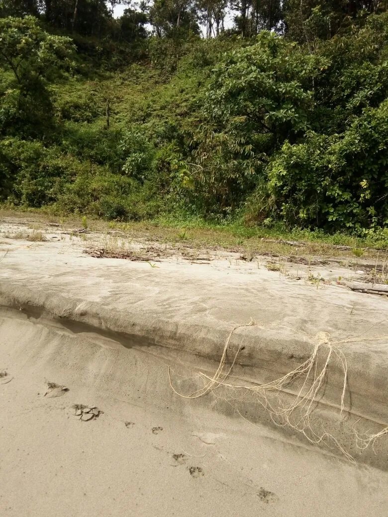 OCEAN FRONT PROPERTY FOR SALE, IN THE REGION OF CALOVEBORA, VERAGUAS.
