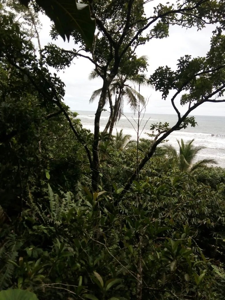 OCEAN FRONT PROPERTY FOR SALE, IN THE REGION OF CALOVEBORA, VERAGUAS.