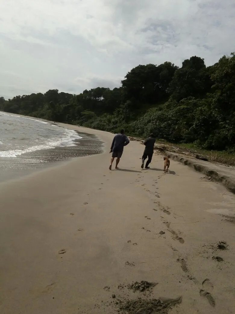 OCEAN FRONT PROPERTY FOR SALE, IN THE REGION OF CALOVEBORA, VERAGUAS.