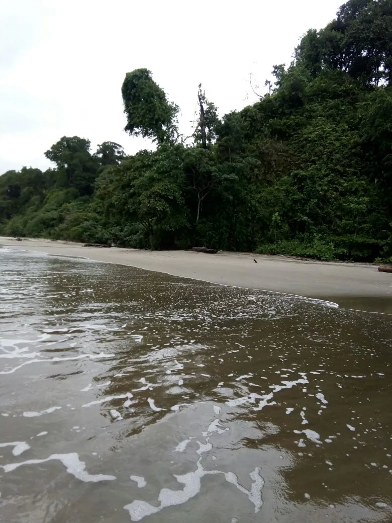 OCEAN FRONT PROPERTY FOR SALE, IN THE REGION OF CALOVEBORA, VERAGUAS.