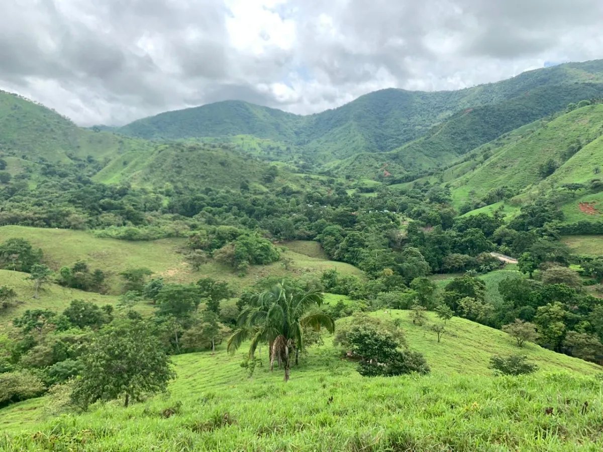 PROPERTY FOR SALE IN CHORRILLOS, REGION OF QUEBRADA GRANDE, VERAGUAS. 23 HECTARES (56.83 ACRES).