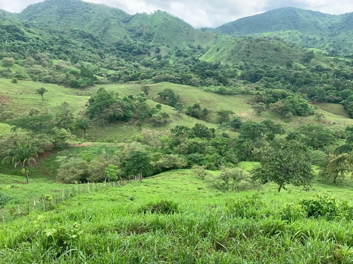 PROPERTY FOR SALE IN CHORRILLOS, REGION OF QUEBRADA GRANDE, VERAGUAS. 23 HECTARES (56.83 ACRES).