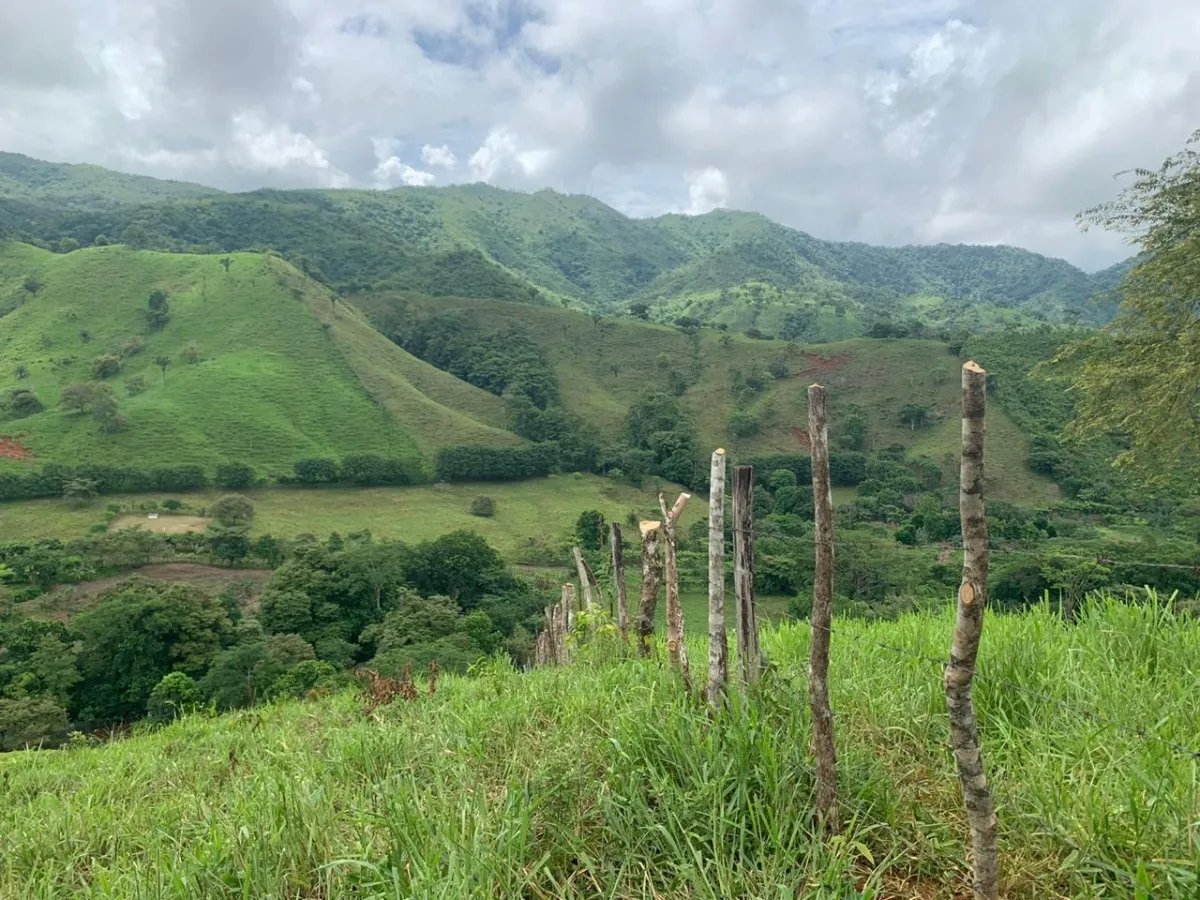 PROPERTY FOR SALE IN CHORRILLOS, REGION OF QUEBRADA GRANDE, VERAGUAS. 23 HECTARES (56.83 ACRES).