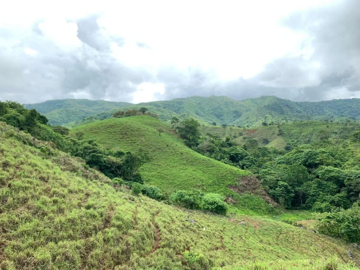 PROPERTY FOR SALE IN CHORRILLOS, REGION OF QUEBRADA GRANDE, VERAGUAS. 23 HECTARES (56.83 ACRES).