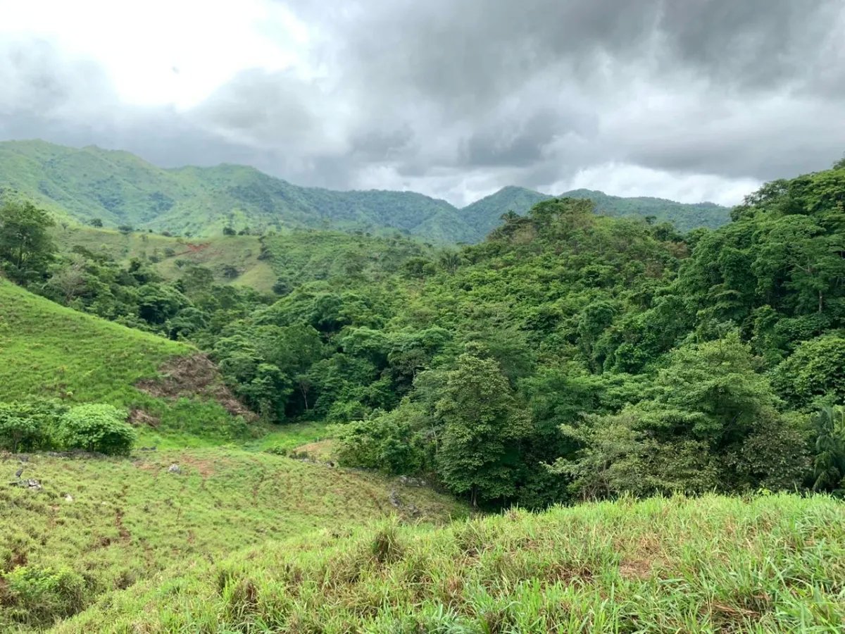 PROPERTY FOR SALE IN CHORRILLOS, REGION OF QUEBRADA GRANDE, VERAGUAS. 23 HECTARES (56.83 ACRES).