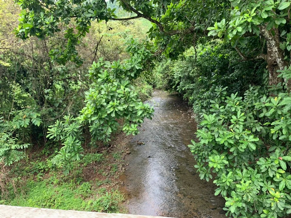 PROPERTY FOR SALE IN CHORRILLOS, REGION OF QUEBRADA GRANDE, VERAGUAS. 23 HECTARES (56.83 ACRES).