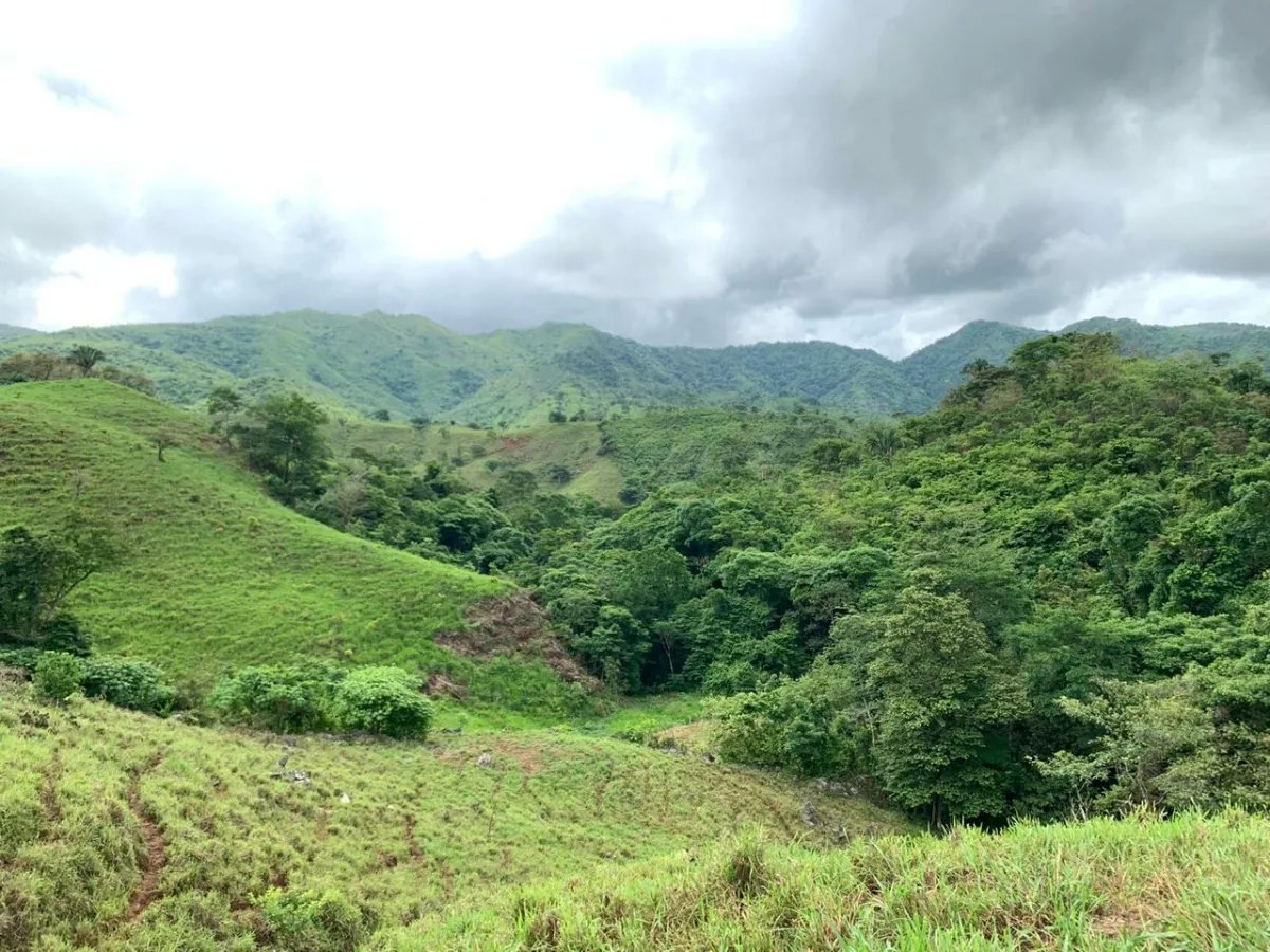 PROPERTY FOR SALE IN CHORRILLOS, REGION OF QUEBRADA GRANDE, VERAGUAS. 23 HECTARES (56.83 ACRES).