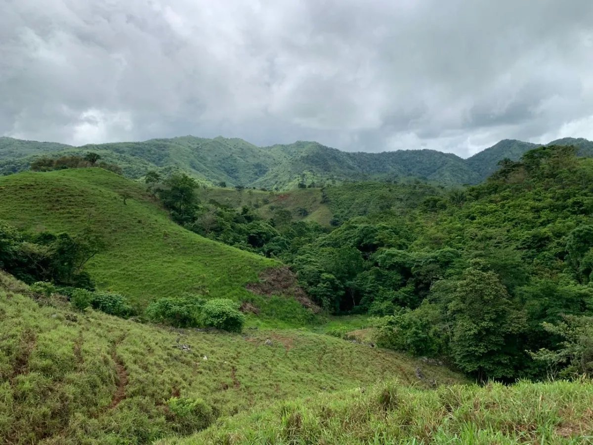 PROPERTY FOR SALE IN CHORRILLOS, REGION OF QUEBRADA GRANDE, VERAGUAS. 23 HECTARES (56.83 ACRES).