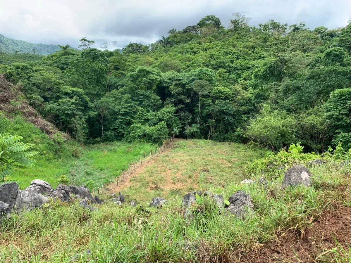 PROPERTY FOR SALE IN CHORRILLOS, REGION OF QUEBRADA GRANDE, VERAGUAS. 23 HECTARES (56.83 ACRES).