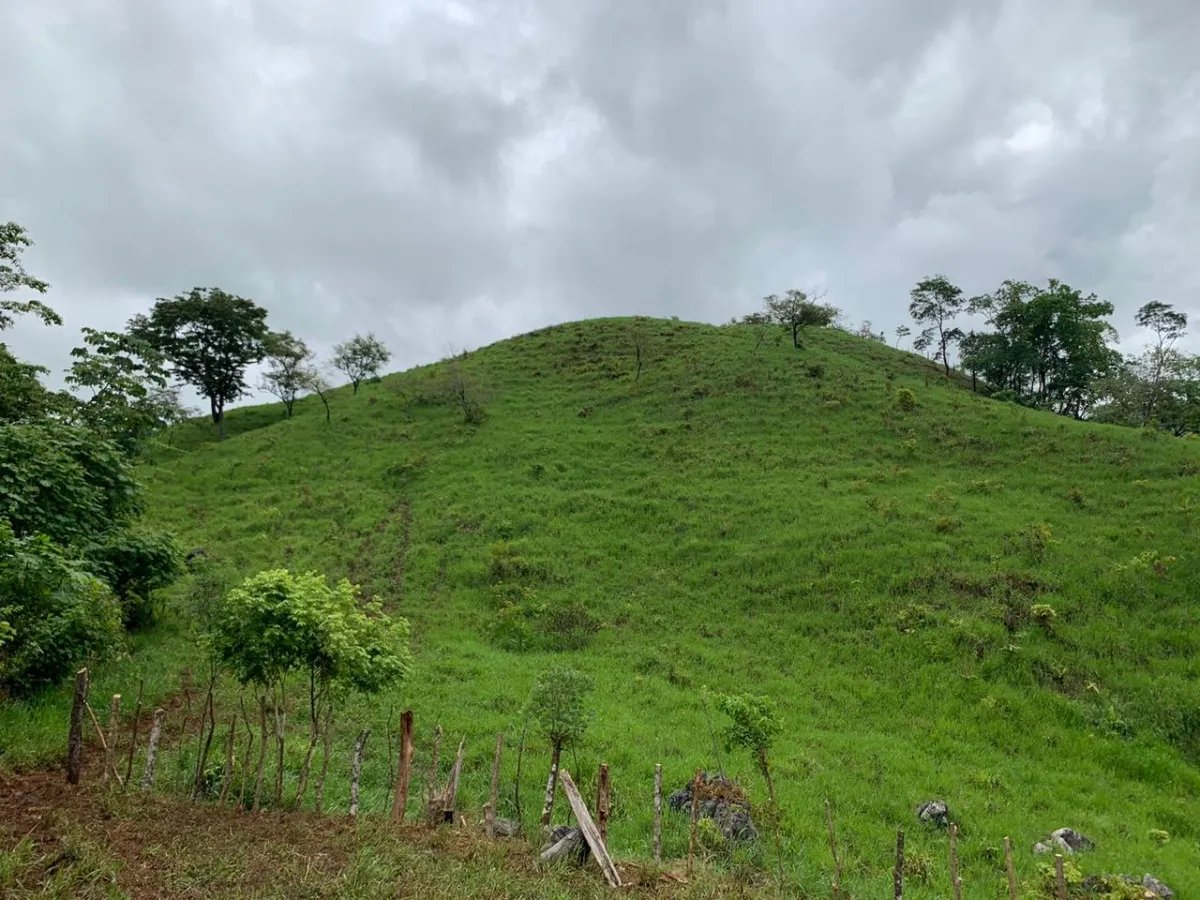 PROPERTY FOR SALE IN CHORRILLOS, REGION OF QUEBRADA GRANDE, VERAGUAS. 23 HECTARES (56.83 ACRES).