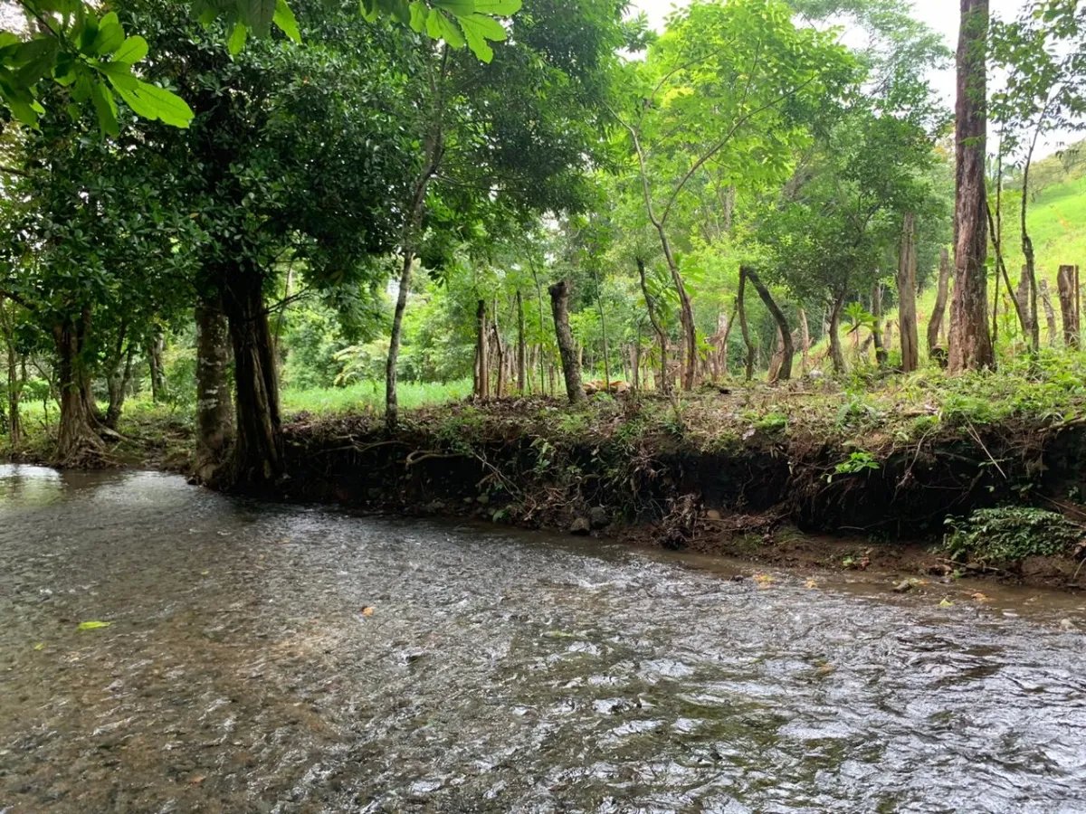 PROPERTY FOR SALE IN CHORRILLOS, REGION OF QUEBRADA GRANDE, VERAGUAS. 23 HECTARES (56.83 ACRES).