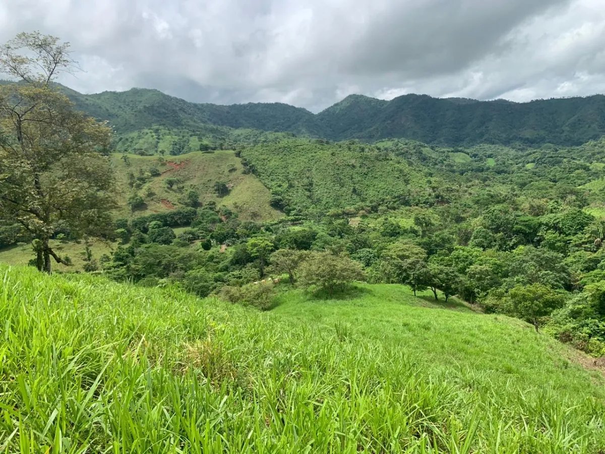 PROPERTY FOR SALE IN CHORRILLOS, REGION OF QUEBRADA GRANDE, VERAGUAS. 23 HECTARES (56.83 ACRES).