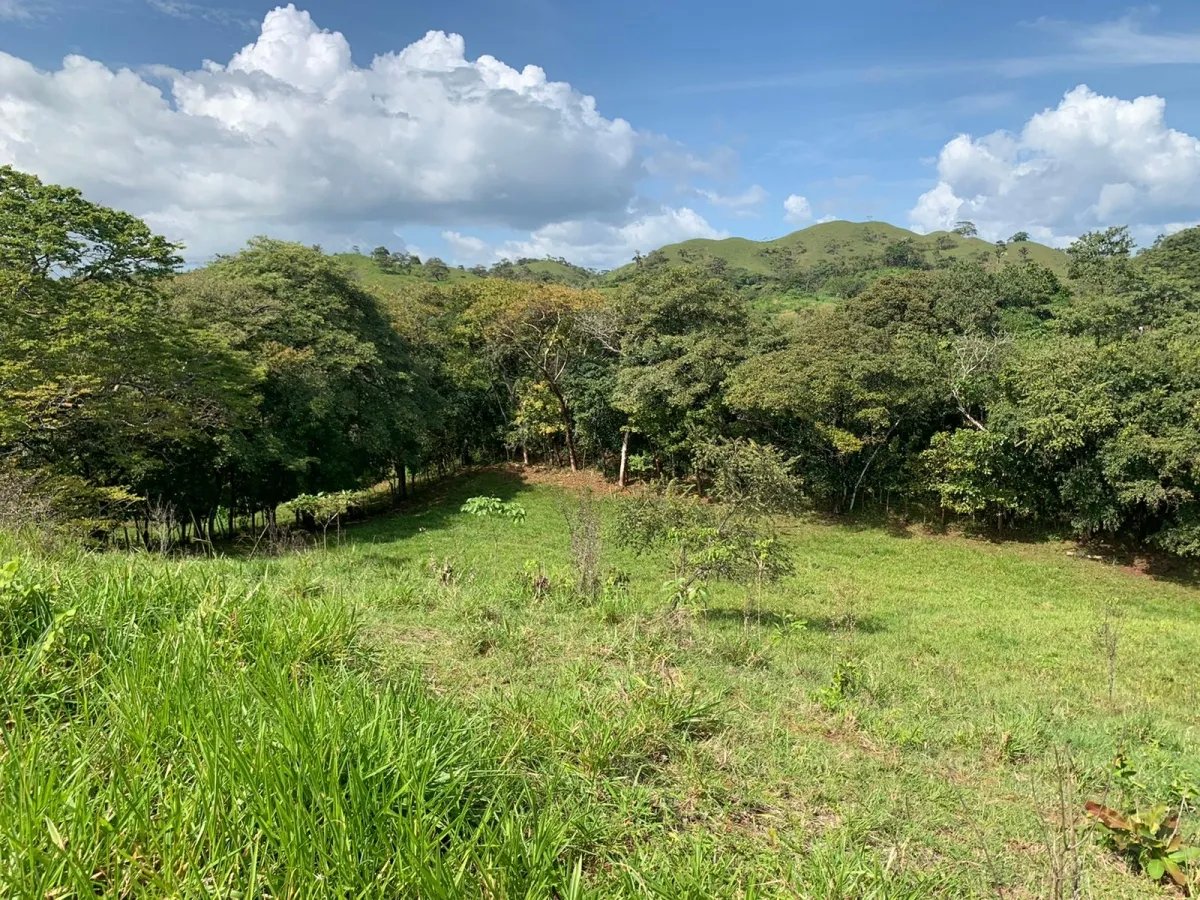 89 HECTARES (219.92 ACRES) PROPERTY FOR SALE, VERAGUAS, TOWN OF HICACO...