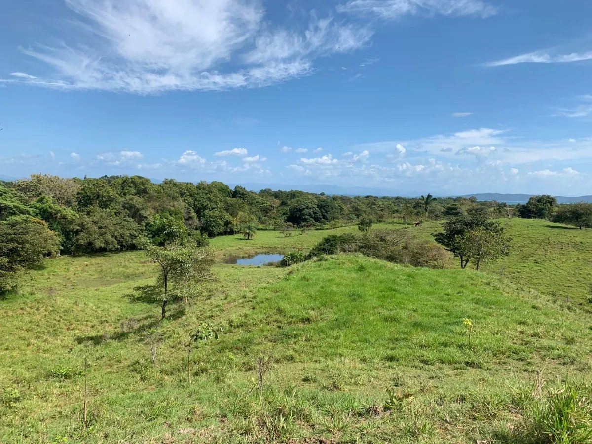 89 HECTARES (219.92 ACRES) PROPERTY FOR SALE, VERAGUAS, TOWN OF HICACO, NEXT TO SANTA CATALINA.