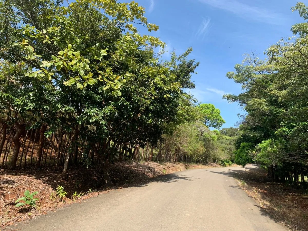 89 HECTARES (219.92 ACRES) PROPERTY FOR SALE, VERAGUAS, TOWN OF HICACO, NEXT TO SANTA CATALINA.