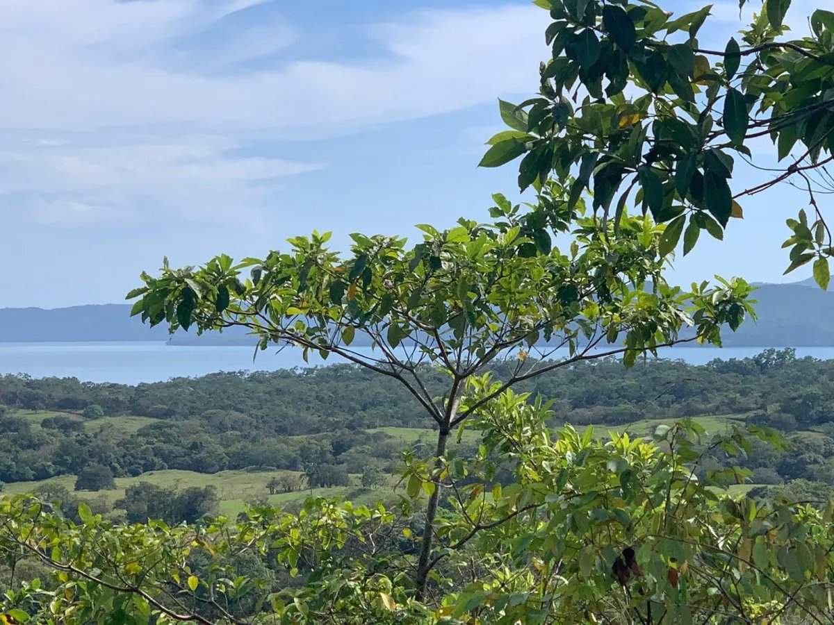89 HECTARES (219.92 ACRES) PROPERTY FOR SALE, VERAGUAS, TOWN OF HICACO, NEXT TO SANTA CATALINA.