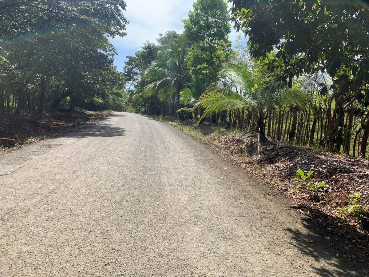 89 HECTARES (219.92 ACRES) PROPERTY FOR SALE, VERAGUAS, TOWN OF HICACO, NEXT TO SANTA CATALINA.