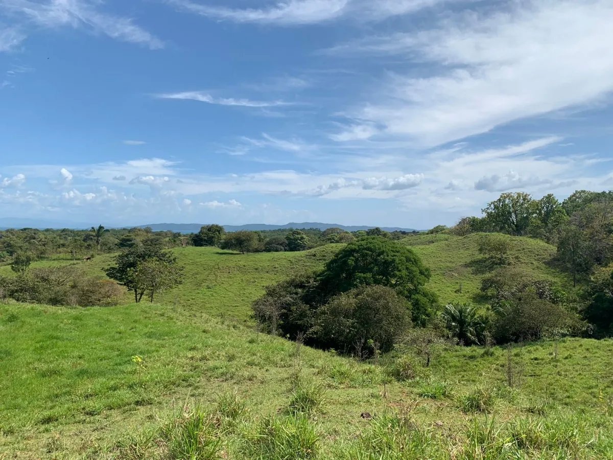 89 HECTARES (219.92 ACRES) PROPERTY FOR SALE, VERAGUAS, TOWN OF HICACO, NEXT TO SANTA CATALINA.