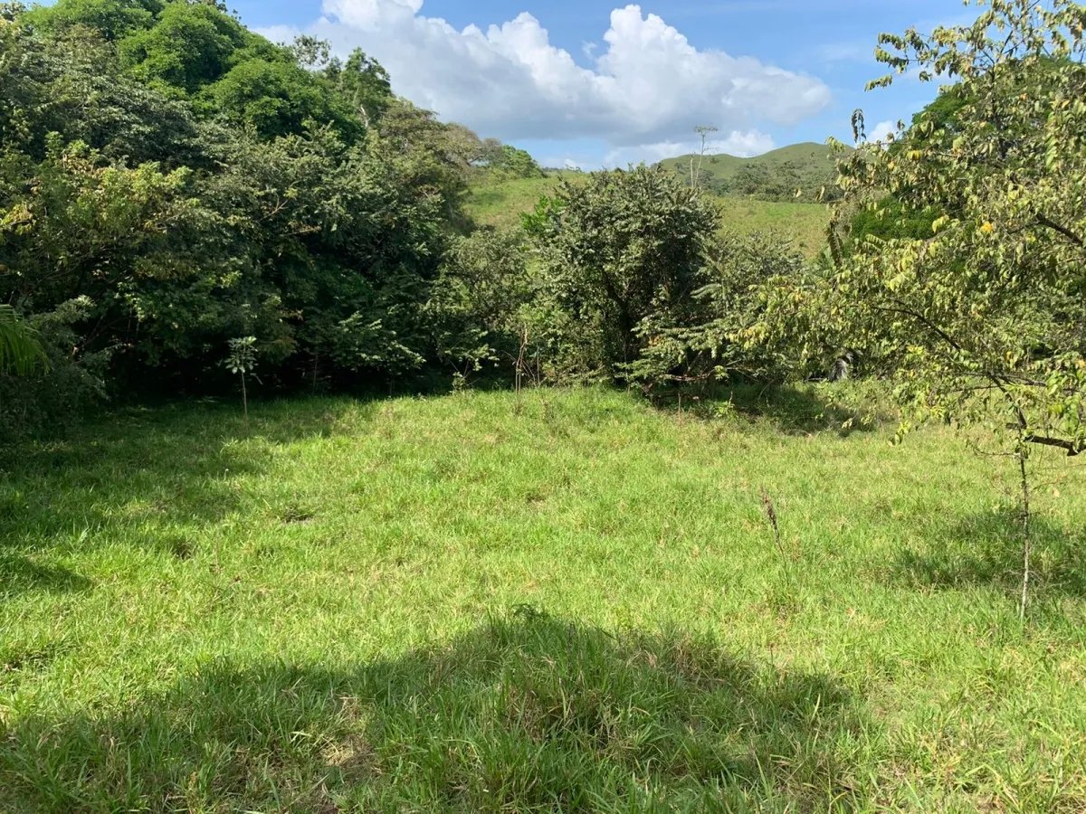 89 HECTARES (219.92 ACRES) PROPERTY FOR SALE, VERAGUAS, TOWN OF HICACO, NEXT TO SANTA CATALINA.