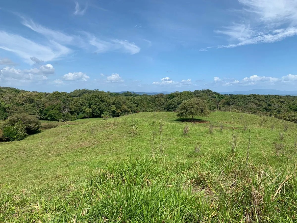 89 HECTARES (219.92 ACRES) PROPERTY FOR SALE, VERAGUAS, TOWN OF HICACO, NEXT TO SANTA CATALINA.